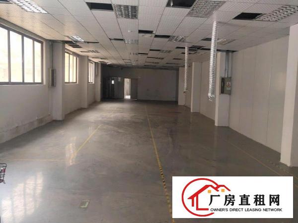  塘厦东深二路旁惊现超靓独院厂房