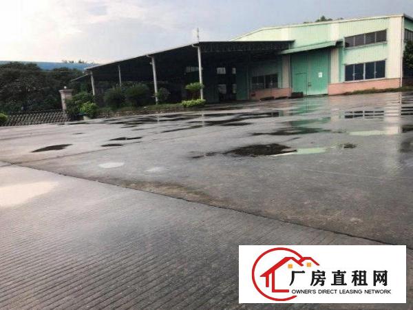  凤凰岗出租200方厂可办环评，配电大，配套完善，租金便宜独院
