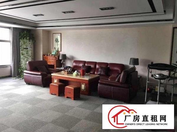  横塘可办环，独院400方标准加简易厂房，配电大带办公出租