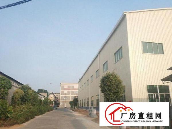  石马400平全新装便宜出租！配套齐全，可分租空地大