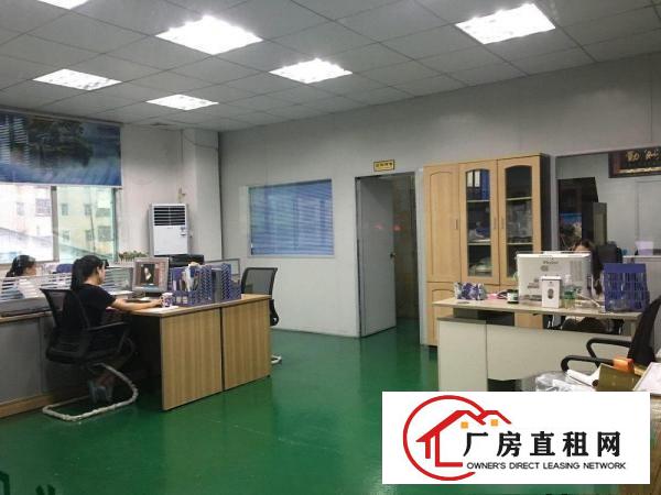  独门独院分租有电梯三楼装修办公室厂房