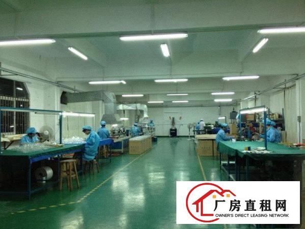 独门独院分租有电梯三楼装修办公室厂房