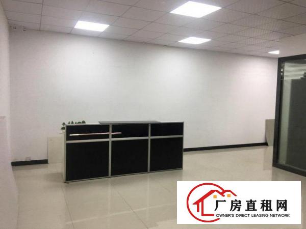  大坪一楼，全新装修，免费赠送