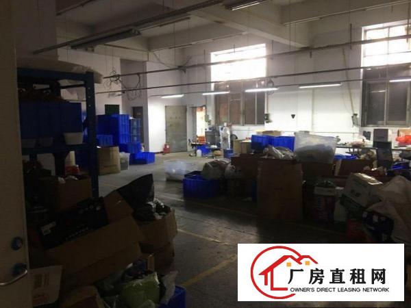  大坪一楼，全新装修，免费赠送