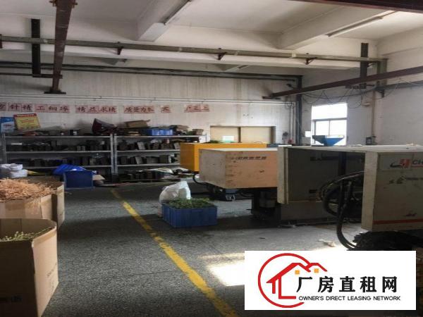  大坪一楼，全新装修，免费赠送