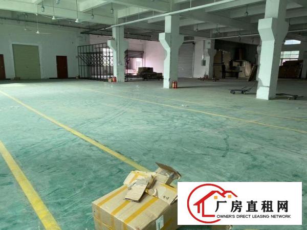  东莞市塘厦镇科苑城厂房出租