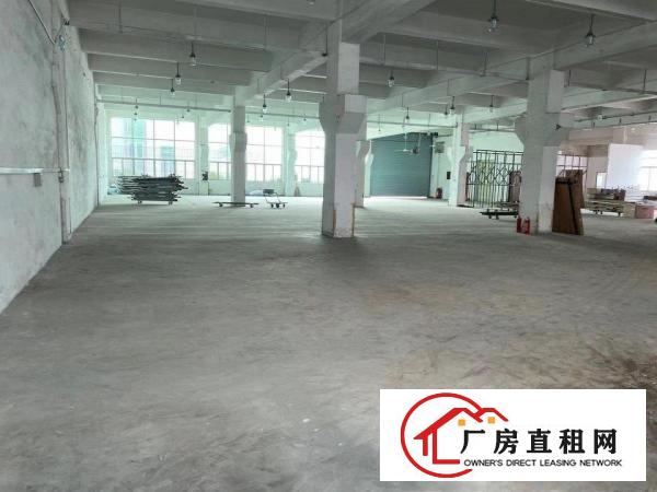  东莞市塘厦镇科苑城厂房出租