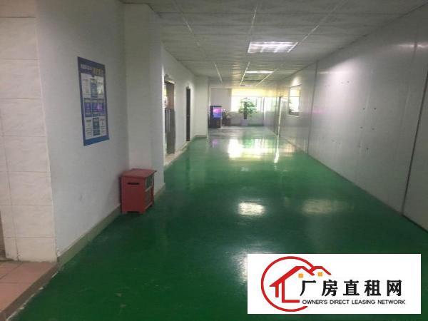  塘厦新出原房东二楼精装修厂房