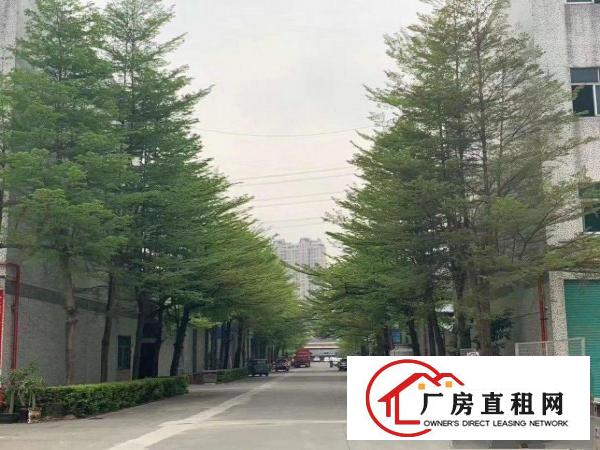  塘厦大坪精装修二楼1388平厂房出租