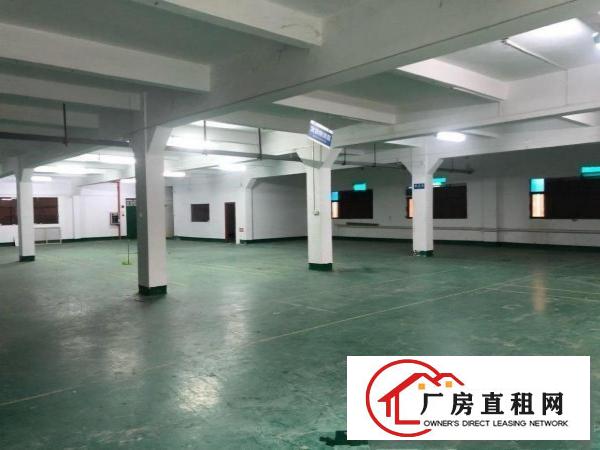  近塘厦镇中心公园独院厂房