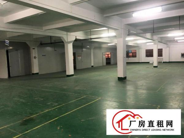  近塘厦镇中心公园独院厂房