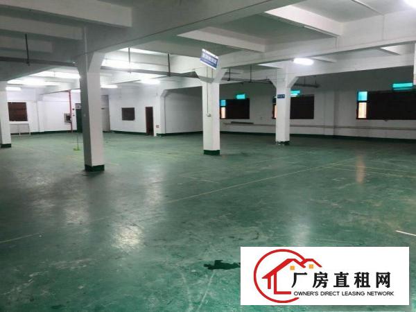  近塘厦镇中心公园独院厂房