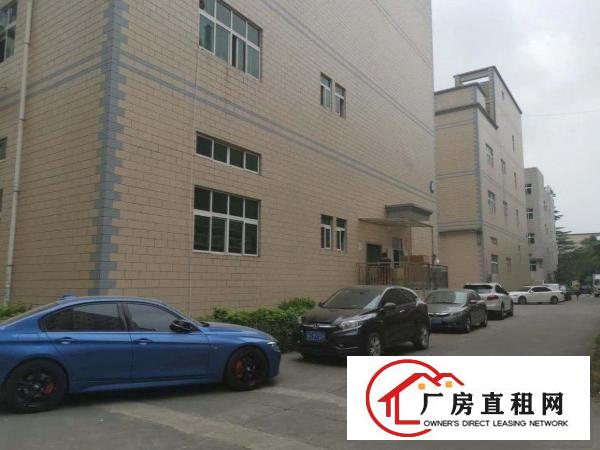  塘厦科苑城4000平标准独院厂房出租