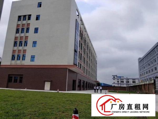  塘厦大坪沙湖科苑城石马附近带无尘车间办公室装修厂房转租可分租
