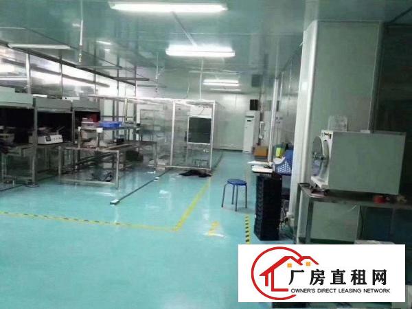  塘厦大坪沙湖科苑城石马附近带无尘车间办公室装修厂房转租可分租