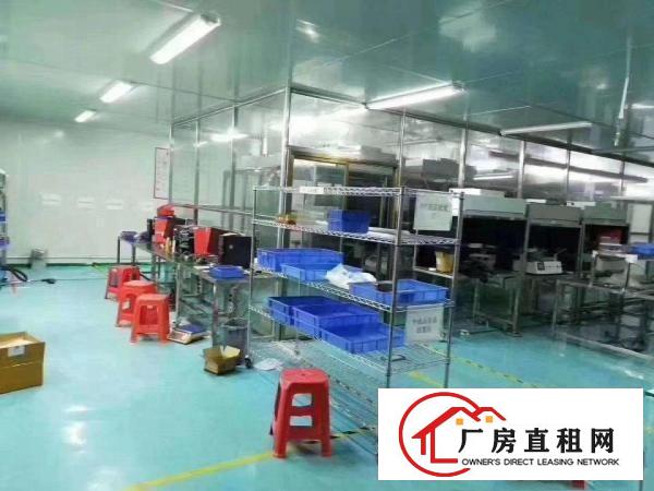  塘厦大坪沙湖科苑城石马附近带无尘车间办公室装修厂房转租可分租