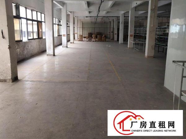  塘厦惊现超低价花园式厂房带现成办公室装修