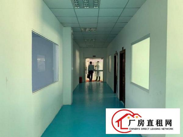  塘厦清湖头原房东精装修二楼1000平方