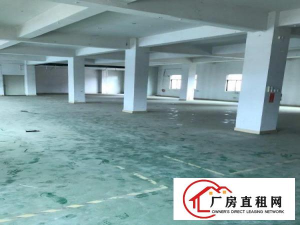  塘厦清塘街带电梯无尘车间仓库办公室