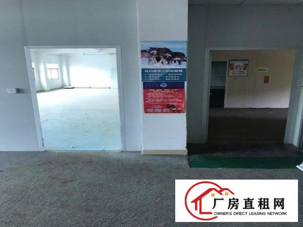  塘厦清塘街带电梯无尘车间仓库办公室