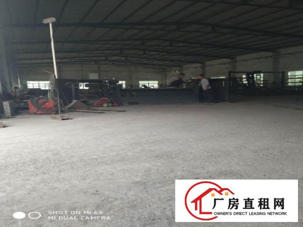  塘厦镇中心原房东独院单一层1300平方厂房出租