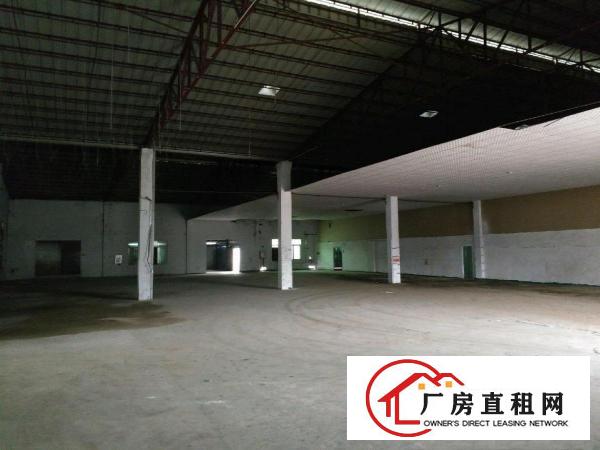  塘厦镇中心原房东独院单一层1300平方厂房出租