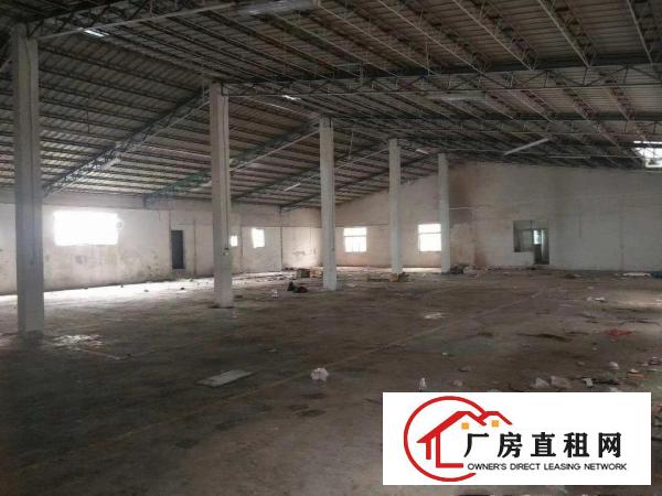  塘厦镇中心原房东独院单一层1300平方厂房出租