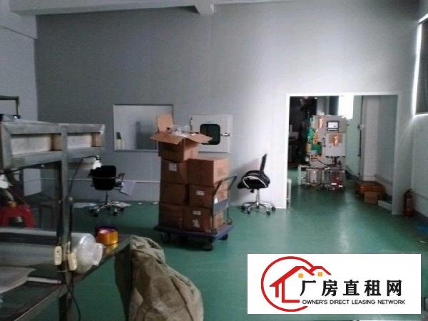  塘厦石鼓标准单层一楼