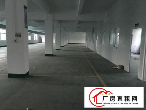  石鼓二楼1222平新厂房，3吨电梯