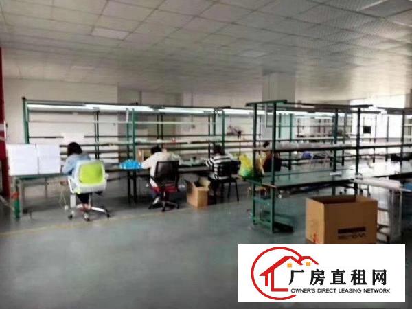  朋友的厂房转租，欢迎各位老板朋友临场看房