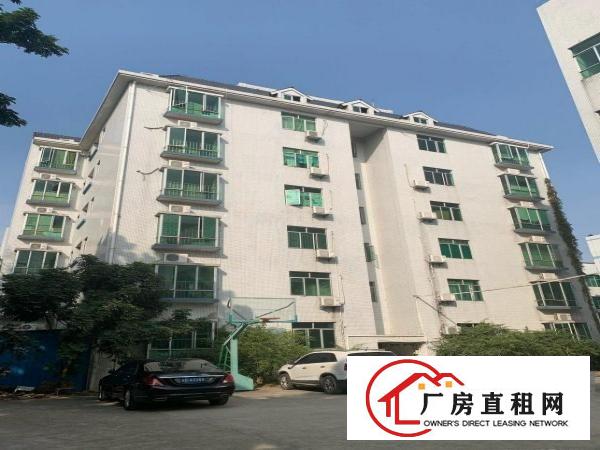  东莞塘厦科苑城独门独院厂房业主直招，无公摊