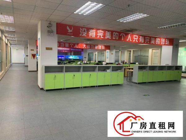  东莞塘厦科苑城独门独院厂房业主直招，无公摊