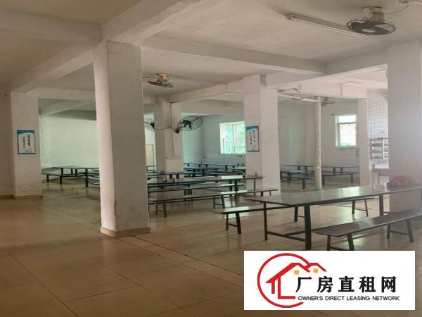  东莞塘厦科苑城独门独院厂房业主直招，无公摊