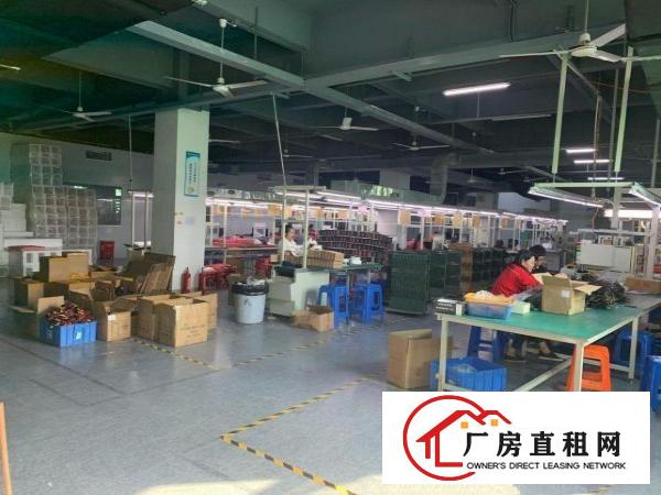  东莞塘厦科苑城独门独院厂房业主直招，无公摊