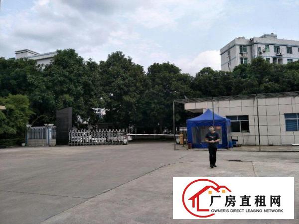  原房东花园式厂房出租证件齐全