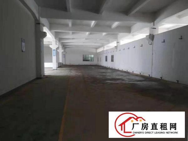  标准厂房一楼六米带牛角可以隔成小独院