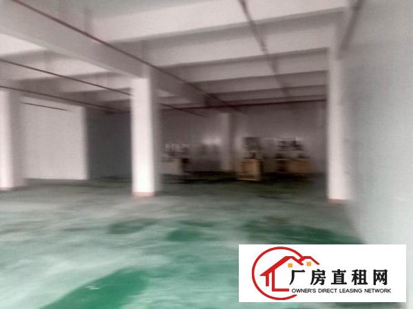  东莞塘厦科苑城靠近深圳产业园750平，需要15块一瓶。