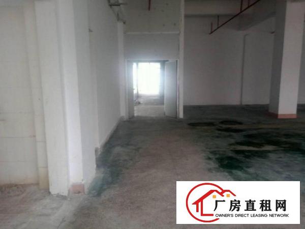  东莞塘厦科苑城靠近深圳产业园750平，需要15块一瓶。
