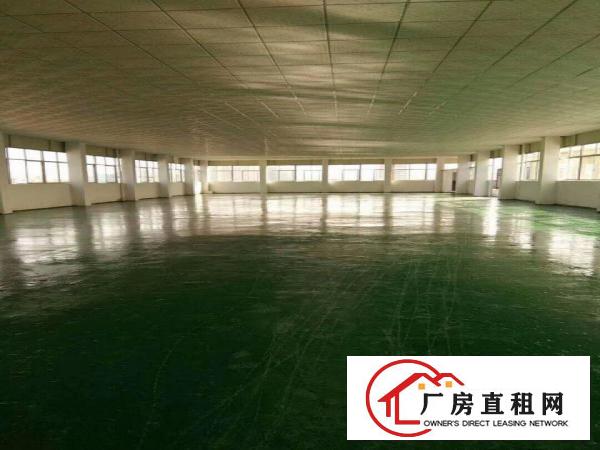  塘厦沙湖1200平方3楼厂房地坪漆和办公室 挨蛟乙塘/科苑城