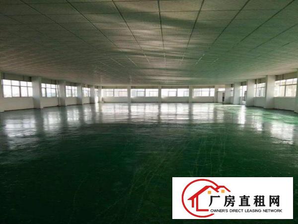  塘厦沙湖1200平方3楼厂房地坪漆和办公室 挨蛟乙塘/科苑城