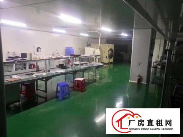  塘厦科苑城原房东无尘车间1000㎡