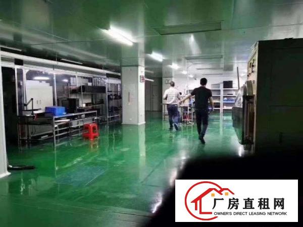 塘厦科苑城原房东无尘车间1000㎡