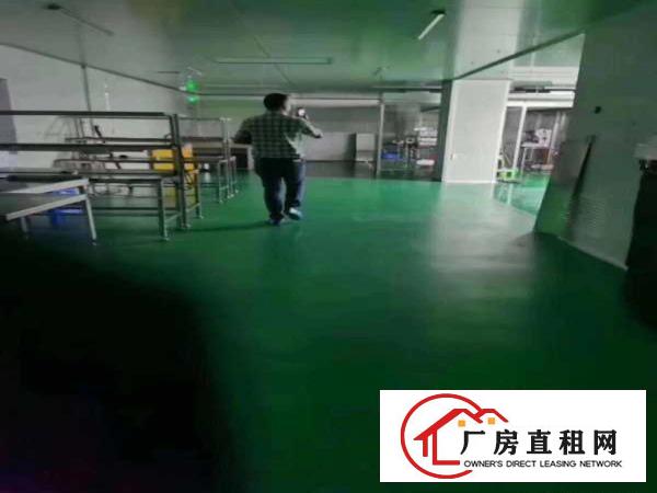  塘厦科苑城原房东无尘车间1000㎡