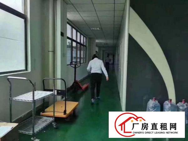  塘厦科苑城原房东无尘车间1000㎡