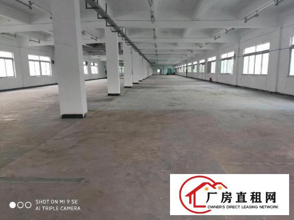  塘厦主干道边上新出楼整层2600平，园区形象好，每层一家客户