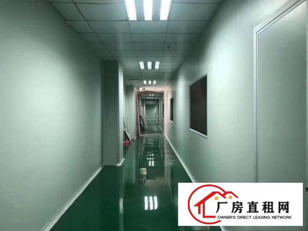  豪华办公室千万级无尘车间
