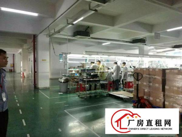  花园式。。塘厦临深工业园4200平方米。。独栋标准厂房招租