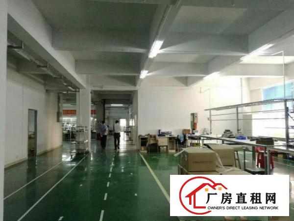  花园式。。塘厦临深工业园4200平方米。。独栋标准厂房招租