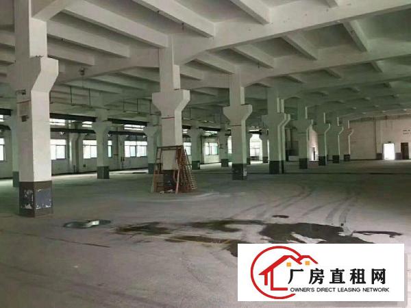  标准重工业！大坪高速路10000平方米独院厂房！7米带双牛角