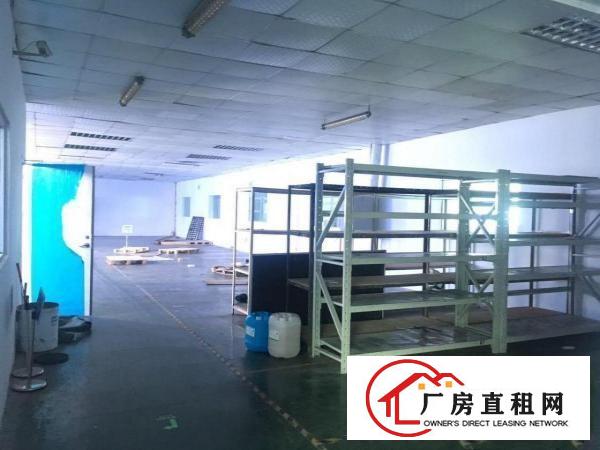  ~塘厦沙湖8900平方独院厂房【实拍图，做电池】挨观澜~